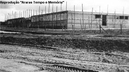 Reprodução - Araras Tempo e Memória
